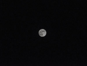 Moon at midnight